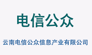 云南电信公众信息产业有限公司